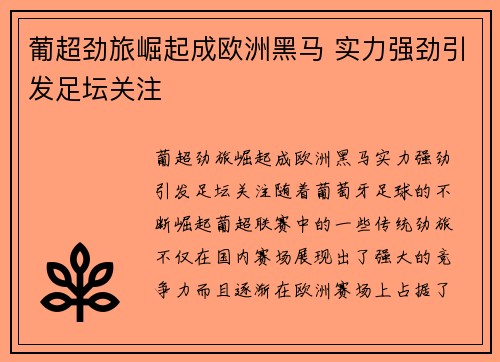 葡超劲旅崛起成欧洲黑马 实力强劲引发足坛关注
